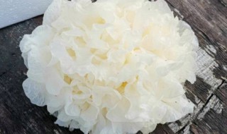 夏天吃白木耳有什么好处 夏天吃白木耳有什么功效与作用