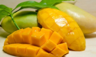 芒果和柿子可以一起吃吗 芒果和柿子能一起吃吗