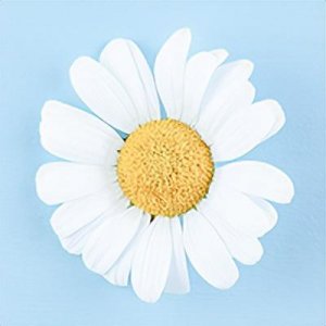 520的来历和意义 关于520是什么含义