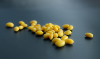 新鲜黄豆怎么长期保存方法 新鲜大豆冷冻保存的方法