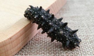 刺参的家庭做法 家常美味的刺参如何做