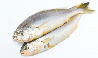 怎样判别野生鱼的好坏 如何辨别正宗野生鱼