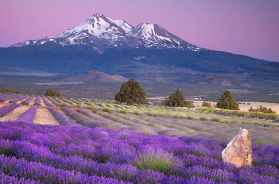 普罗旺斯是哪个国家的城市 关于普罗旺斯的美丽传说