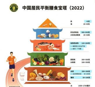 中国居民平衡膳食宝塔几层 膳食宝塔5层分别是什么
