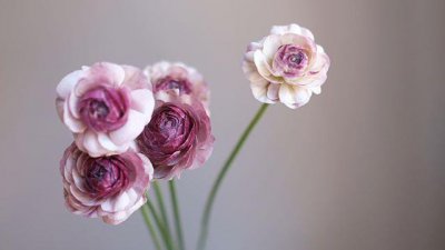 佛语经典语录600句 经典感悟人生的禅语名言