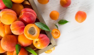 杏是凉性的还是热性的 杏是凉性水果吗
