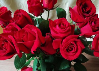 22朵玫瑰花代表什么意思 22支红、白玫瑰花语与含义