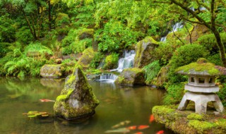 鱼池用什么材质的水管最好 鱼池用哪种材质的水管