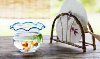 小鱼缸用盐泡多久合适 鱼缸用盐泡的时间介绍