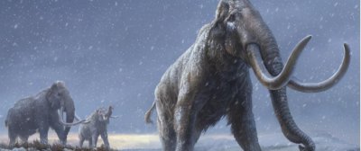 猛犸象是哺乳动物么 猛犸象出现在原始的什么时候