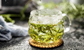 信阳毛尖茶叶怎么冲泡好 信阳毛尖茶叶如何冲泡好