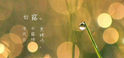 民间一向有白露身不露之说 俗语白露身不露告诉人们意思