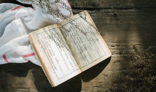 现充情侣是什么意思 现充情侣意思是什么