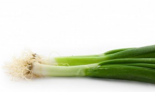 经常吃葱的好处和坏处 经常吃葱对身体有啥好处和坏处
