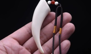 佩戴象牙饰物有何禁忌 佩戴象牙饰物的注意事项