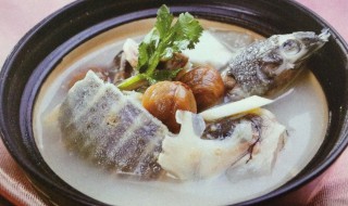 水鱼和什么煲汤会比较好 水鱼和哪种食材煲汤会好喝呢