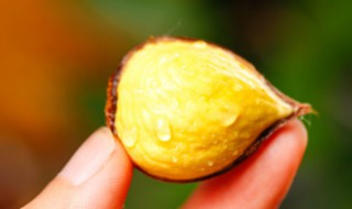 板栗保鲜方法 新鲜板栗储藏方法