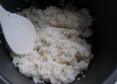 剩饭做肥料 剩饭可以做肥料吗