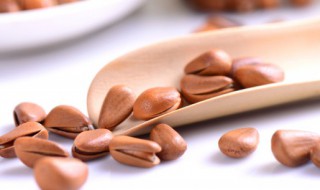 吃松子的好处和坏处 吃松子有哪些好处和坏处