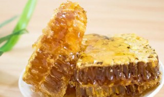 蜂巢素和蜂胶有什么区别 蜂巢素和蜂胶的区别有哪些