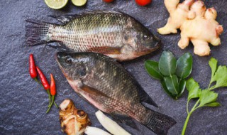 鱼身上哪个部位最好吃 鱼身上什么部位最好吃