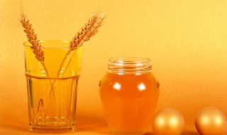 蜜蜂保存方法和注意事项 蜜蜂如何保存