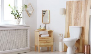 卫生间挂个什么物件好呢 卫生间添置什么小物件