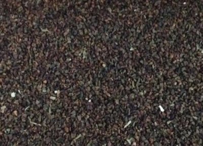 夜来香种子播种时间 夜来香种子什么时候播种最好