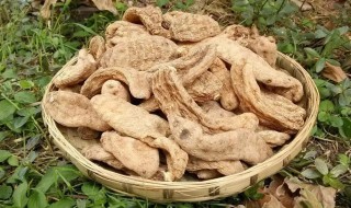 哪些人不宜吃天麻 天麻哪些人不宜吃