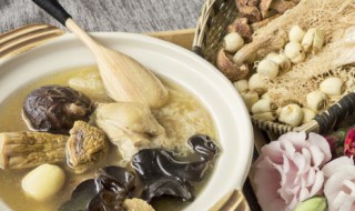 母鸡汤做法 怎样做母鸡汤