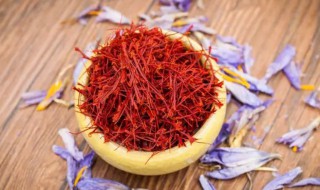 藏红花什么时候喝效果最好 藏红花什么时候喝好