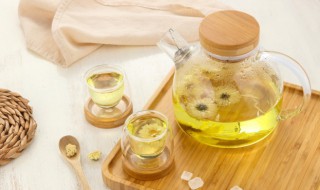 菊花茶是热性还是凉性 菊花茶属于热性还是凉性的饮品呢