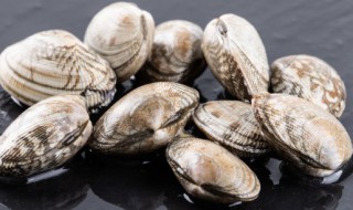 花甲蒸蛋的好处和坏处 花甲蒸蛋的家常做法窍门