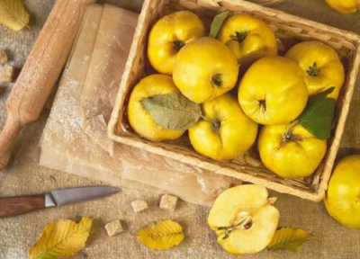 温柏是水果吗 是什么水果 图片