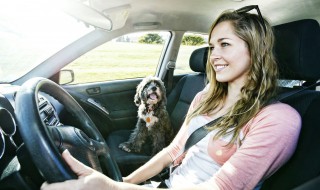 冬天汽车启动怎么除霜 冬天汽车启动如何除霜