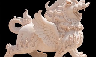 家里放什么物件聚财 家里放什么物件可以聚财