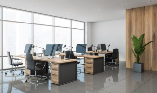 老板办公室摆什么花好 领导办公桌上一般放什么花