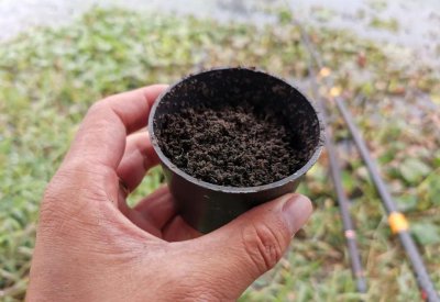 蚯蚓垂钓鲫鱼技巧和方法 图解蚯蚓怎么钓鲫鱼上鱼快