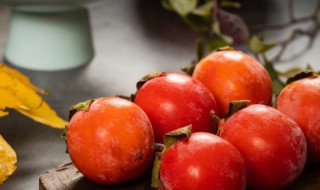 吃小柿子能喝酸奶吗 吃小柿子可不可以喝酸奶