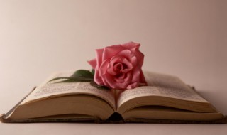 关于早安唯美短句 简短唯美早安的语录