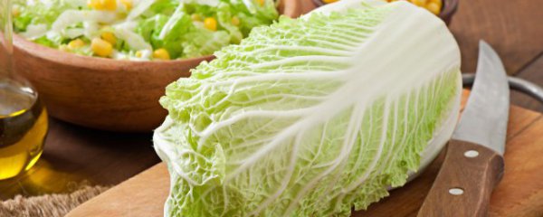 白菜怎么做好吃不腻又简单