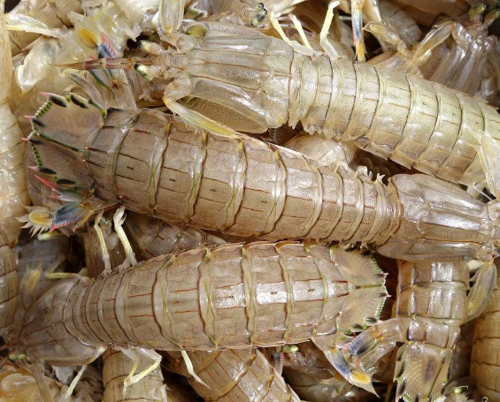 适合吃海鲜的季节是几月份