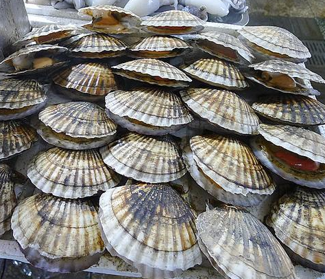 适合吃海鲜的季节是几月份