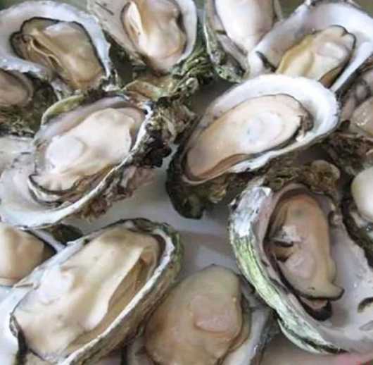 适合吃海鲜的季节是几月份