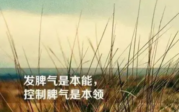 越爱一个人越容易对他发脾气