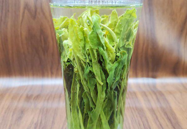 一般来说开春喝什么茶好