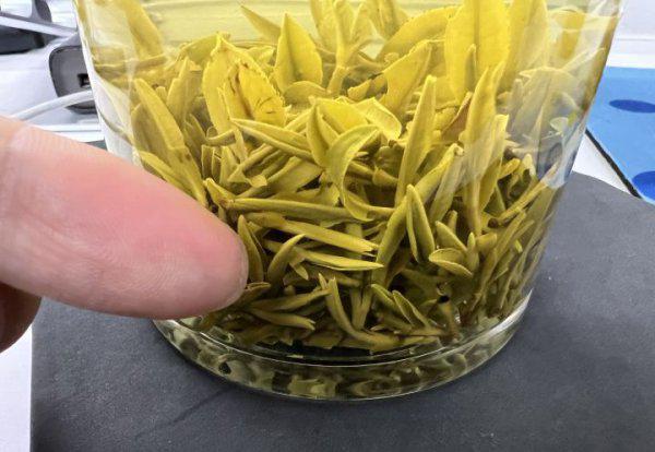 一般来说开春喝什么茶好