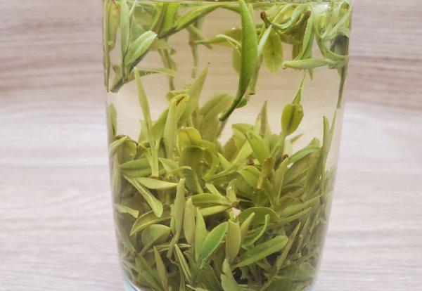 一般来说开春喝什么茶好