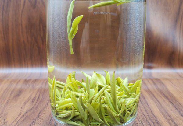 一般来说开春喝什么茶好