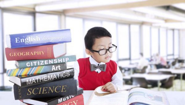 退休后可以学什么技能